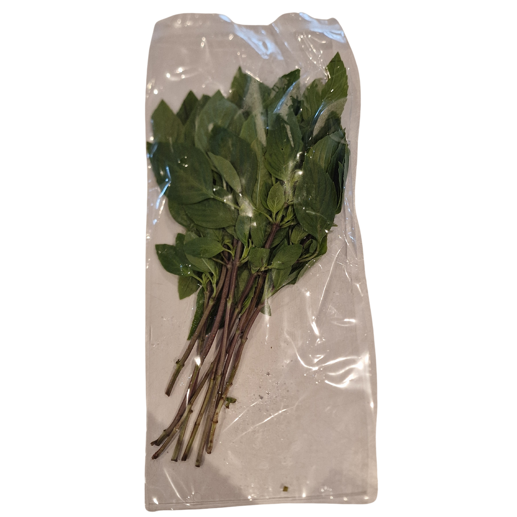 Sweet Basilikum (70g.)