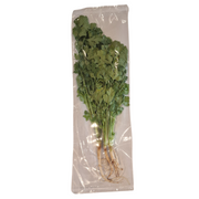 Koriander (50g.)