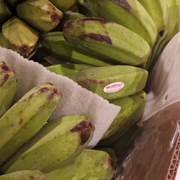 Philippine Saba Banana (1kg.)